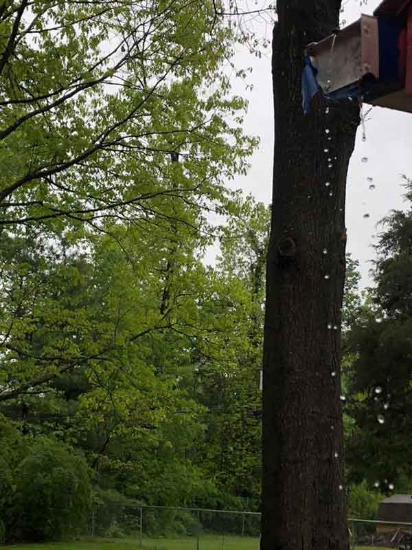 Gutter Downspout Installation